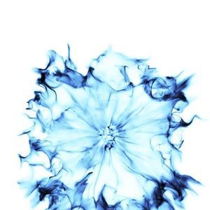 Meet your Posher, Tatum